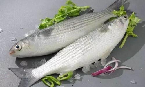 吃瓜鲻鱼头网红,吃瓜群众的美食新宠