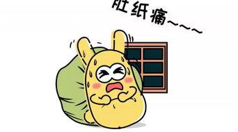 吃瓜群众吃好瓜,好瓜盛宴