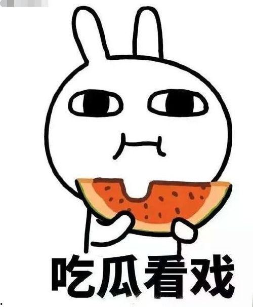 陪老师吃瓜日常,陪老师共度欢乐日常