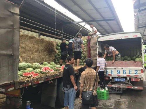 泸州学校吃瓜,揭秘校园食品安全风波