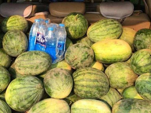 桂花12点吃瓜,12点瓜果盛宴