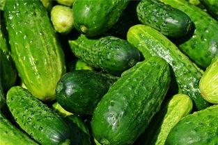 梦见在瓜地里卖瓜吃,瓜地卖瓜，品味人生百味