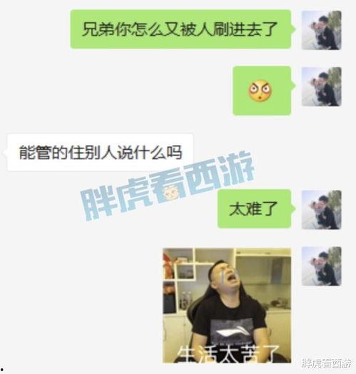 吃瓜老王直播间,揭秘娱乐圈幕后故事