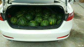 汽车之家吃瓜勋章,揭秘汽车圈热门话题背后的故事