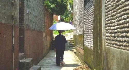 吃瓜群众材料铺,揭秘娱乐圈幕后真相