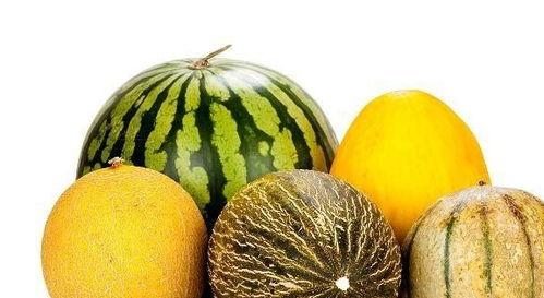 吃老瓜有什么好